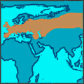 Thumbnail for version as of 16:46, 19 May 2026